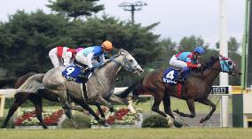 Believe, jockey Take win Sprinters Stakes